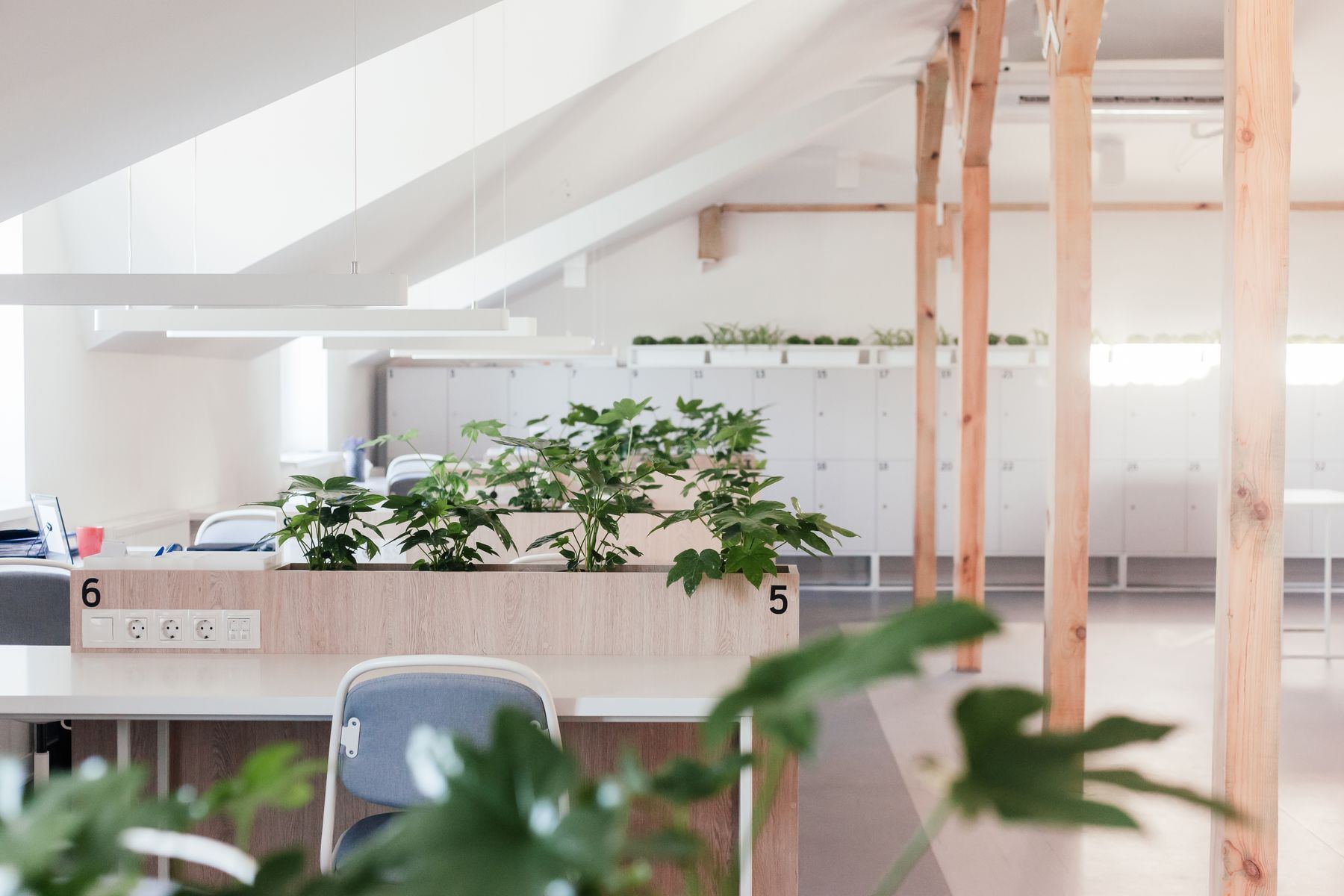 Oficina luminosa con plantas y mesas de trabajo
